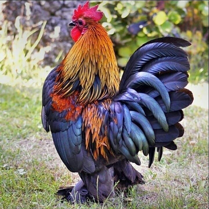 Фото интернет