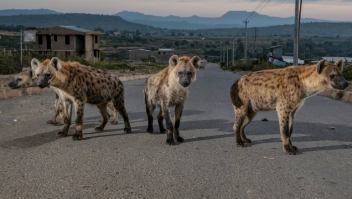 Это полный перебор.