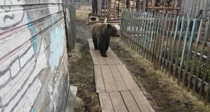 Приятного в этом нет совсем ничего.