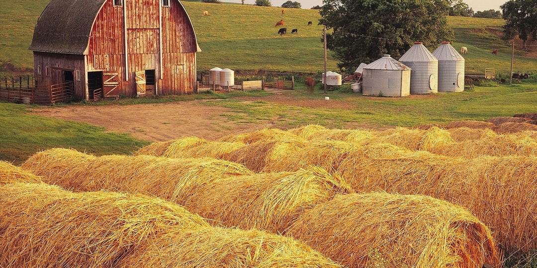 Интересные факты из фермерского мира, которые могут вас удивить!