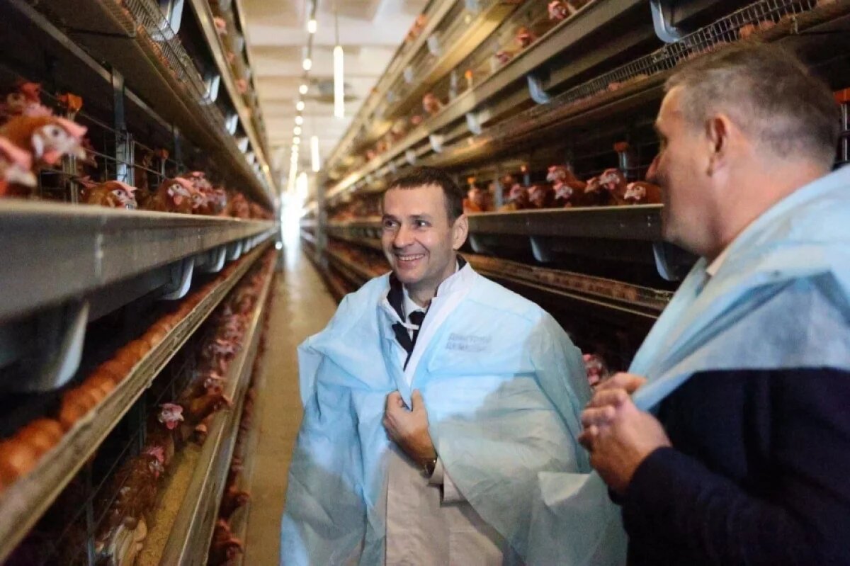    Демешин поручил обеспечить весь Дальний Восток хабаровскими яйцами