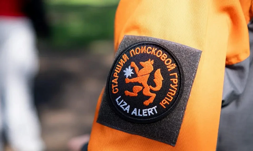 Фото: группа ДПСО «Лиза Алерт» Новосибирской области «ВКонтакте»