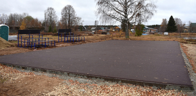    В Омутнинске появилась саламандра