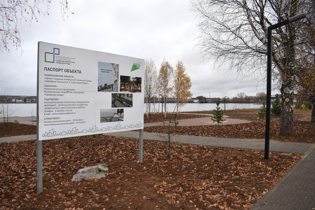    В Омутнинске появилась саламандра