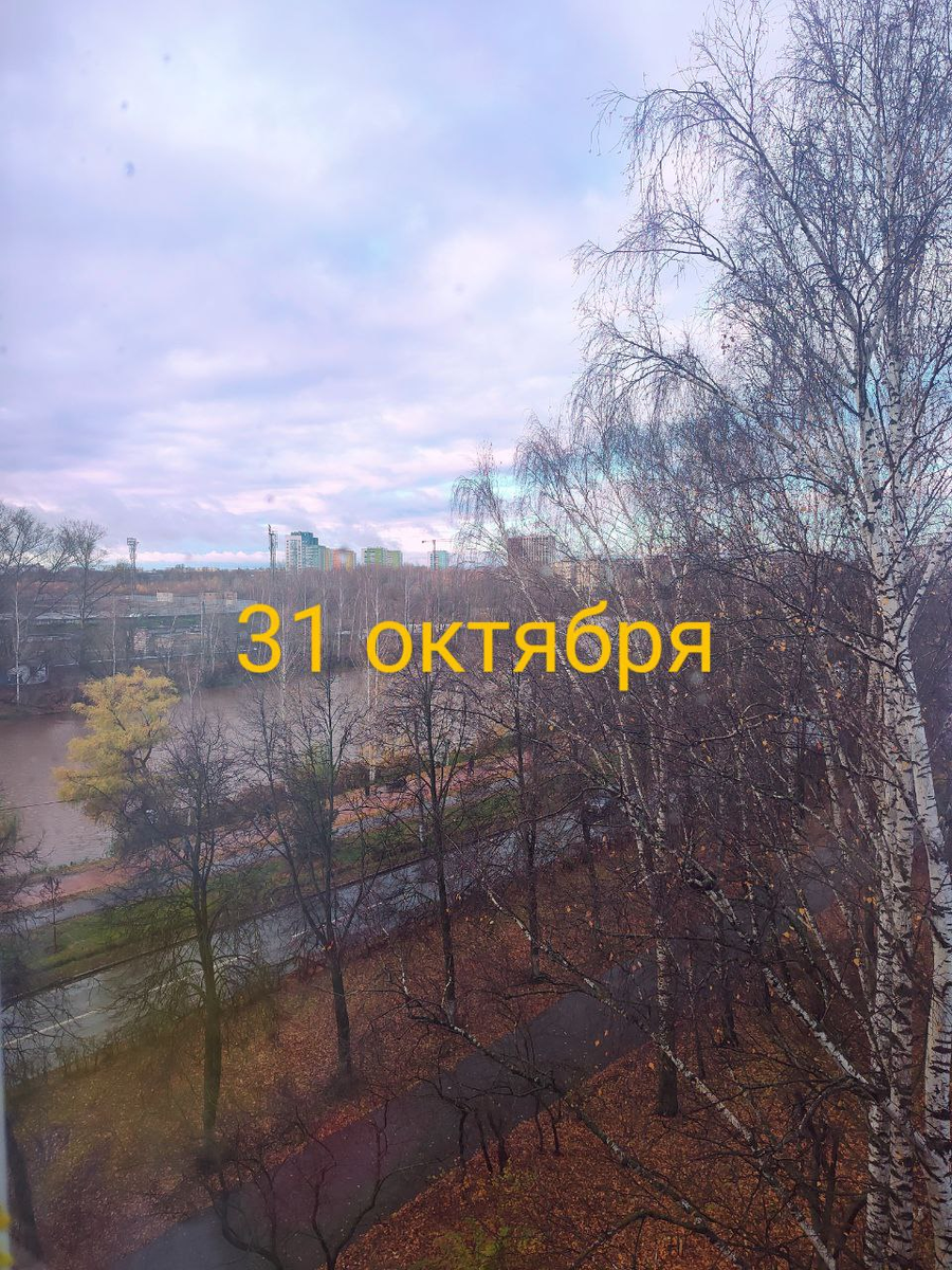 Утро сегодняшнего дня. Любимый вид из моего окна. Фото автора