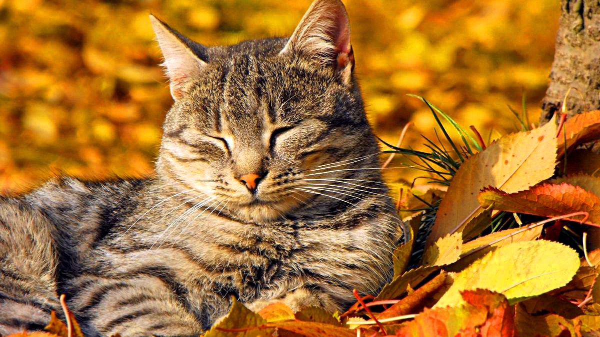 Фото взято из интернета.