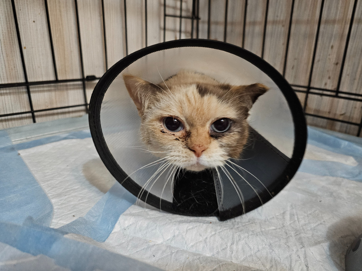 Фото автора. Маруся.