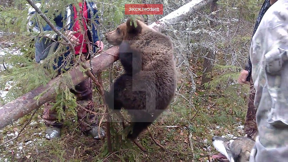 Фото: скрин Лайф