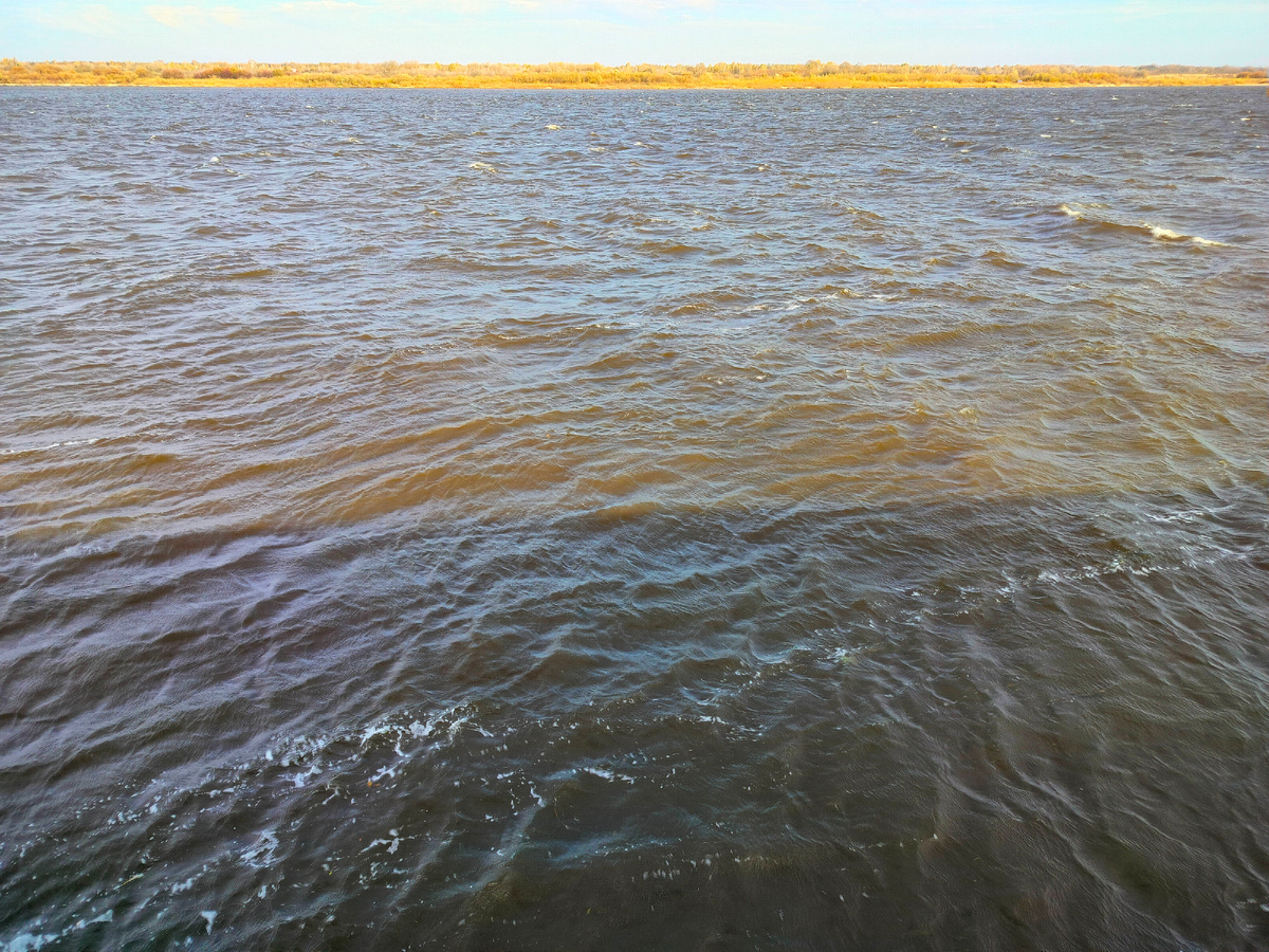 Фото из архива автора канала