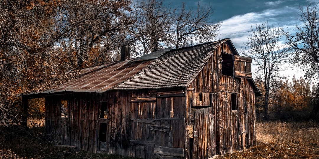 Новые правила оплаты налогов за баню, туалет и сарай с 1 января 2025 года