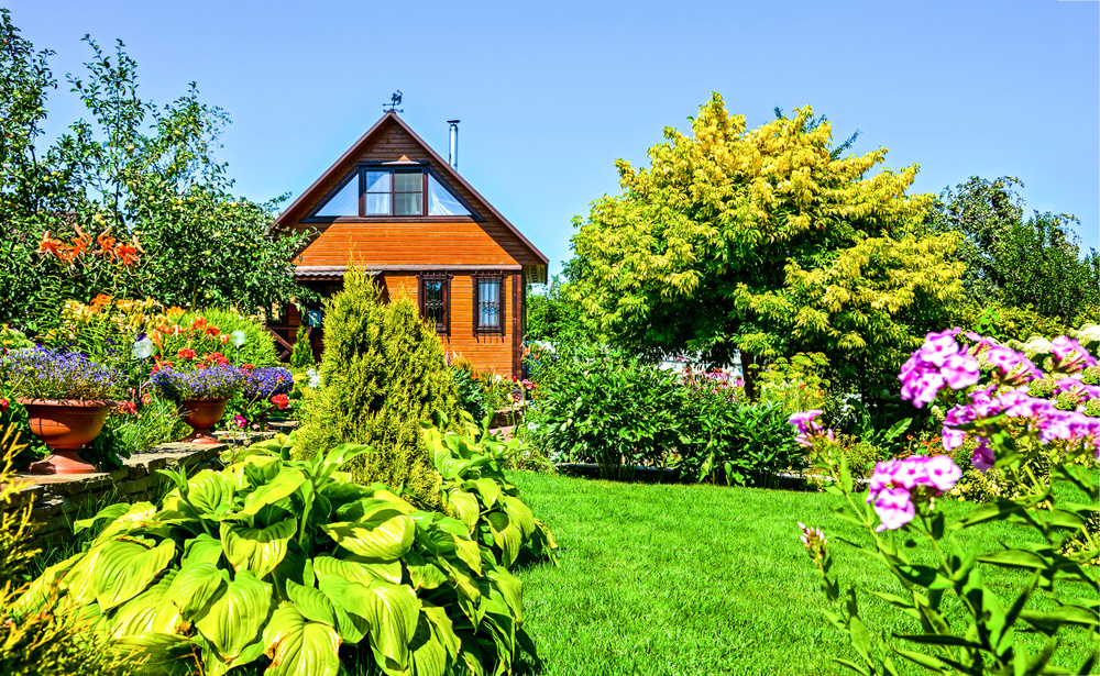 яндекс.картинки