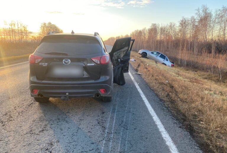    В Шарлыкском районе на трассе сбили косулю и двух человек Оренбуржье
