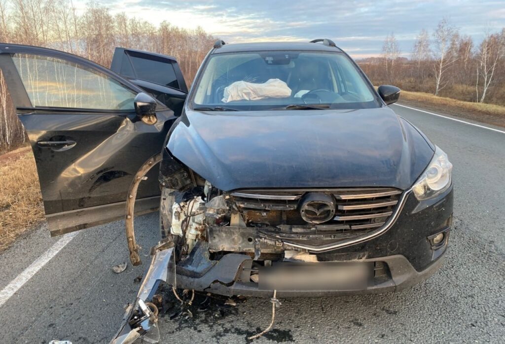     В Шарлыкском районе на трассе сбили косулю и двух человек Оренбуржье
📷    В Шарлыкском районе на трассе сбили косулю и двух человек Оренбуржье
📷    В Шарлыкском районе на трассе сбили косулю и двух человек Оренбуржье
📷    В Шарлыкском районе на трассе сбили косулю и двух человек Оренбуржье
