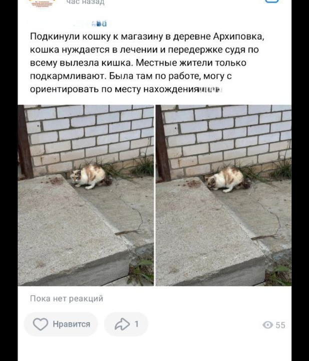 Пост о Марусе