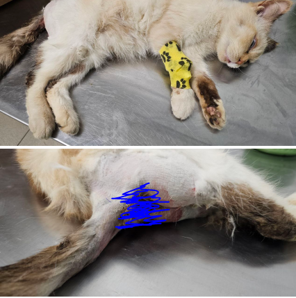 После операции, еще под наркозом