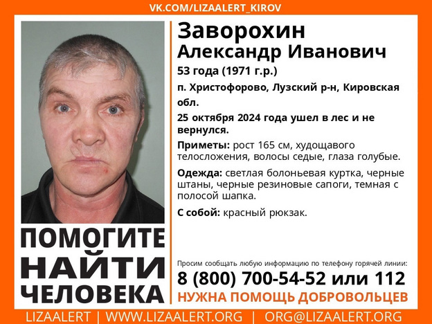    В Лузском районе пропал 53-летний Александр Заворохин