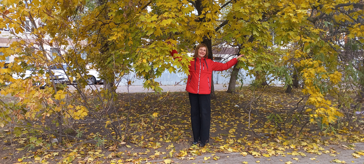 Автор Елена