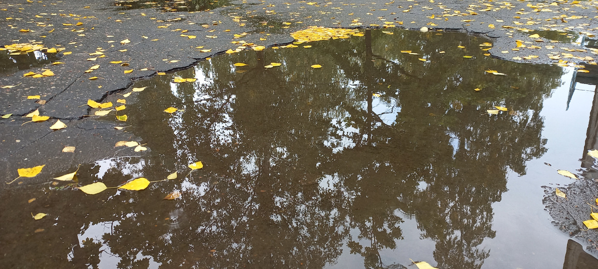 Фото автора статьи