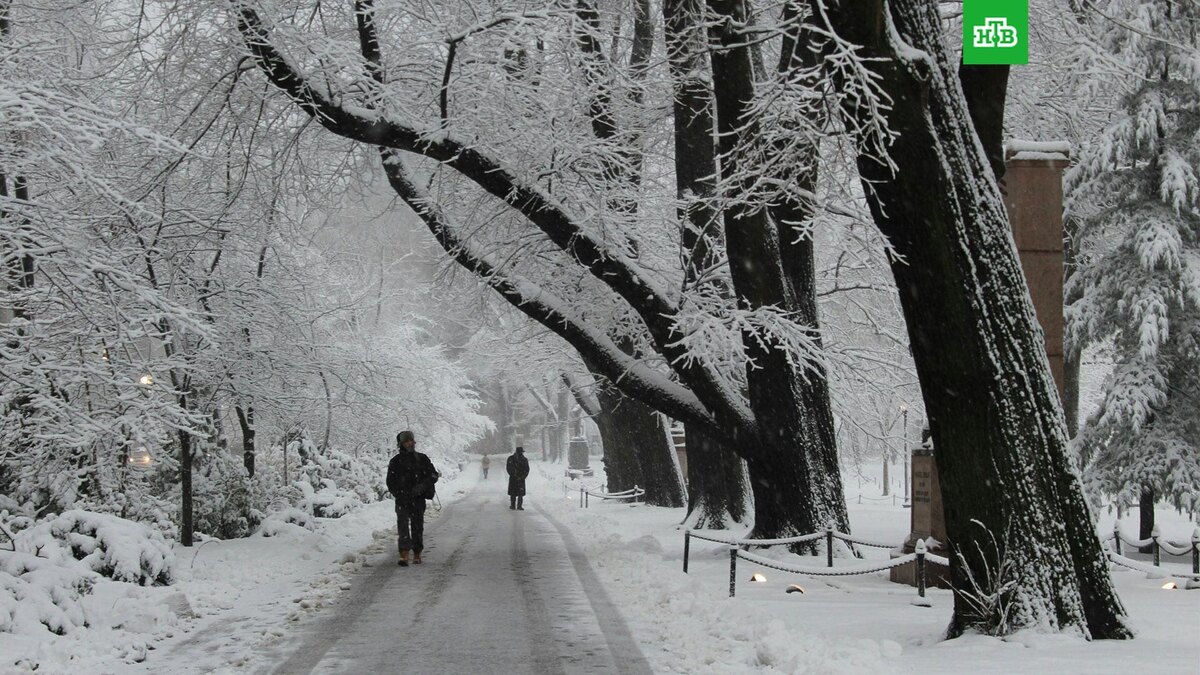    Фото: Bret Kavanaugh / unsplash.com