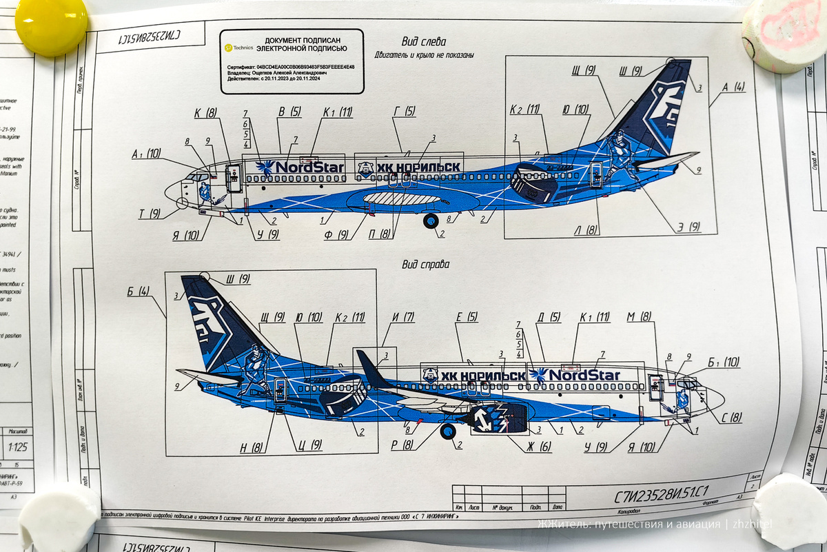 Чтобы изобразить прямые и кривые на криволинейной поверхности, нужно иметь недюжинные познания в геометрии