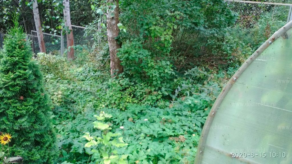 Вид участка клиента до начала производства работ