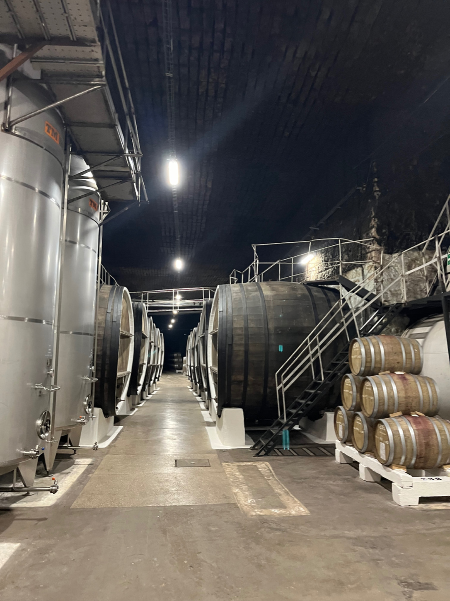 Фото автора. Аромат в подвалах интересный. 