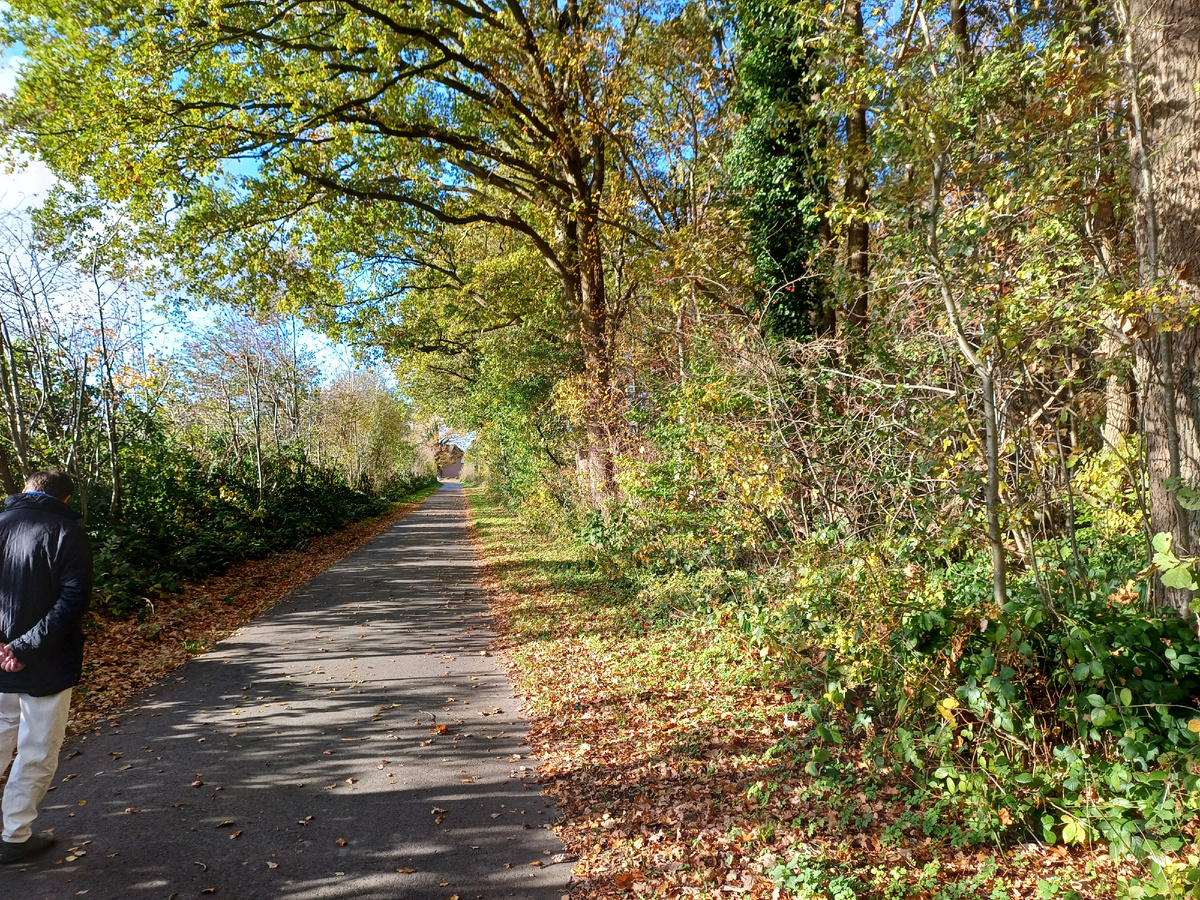 Осенний лес. Фото автора.