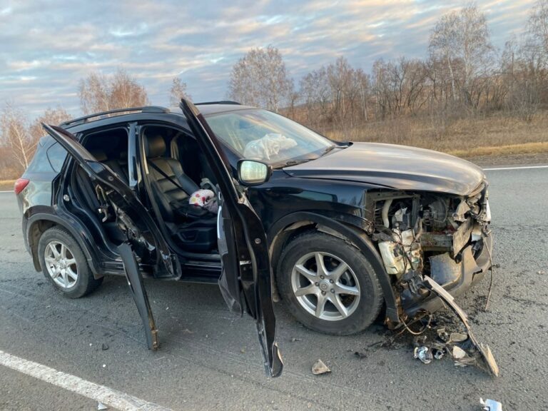    Сбили косулю и сами попали под колеса. Под Шарлыком в двойном ДТП пострадали 2 человека Белов Михаил Александрович