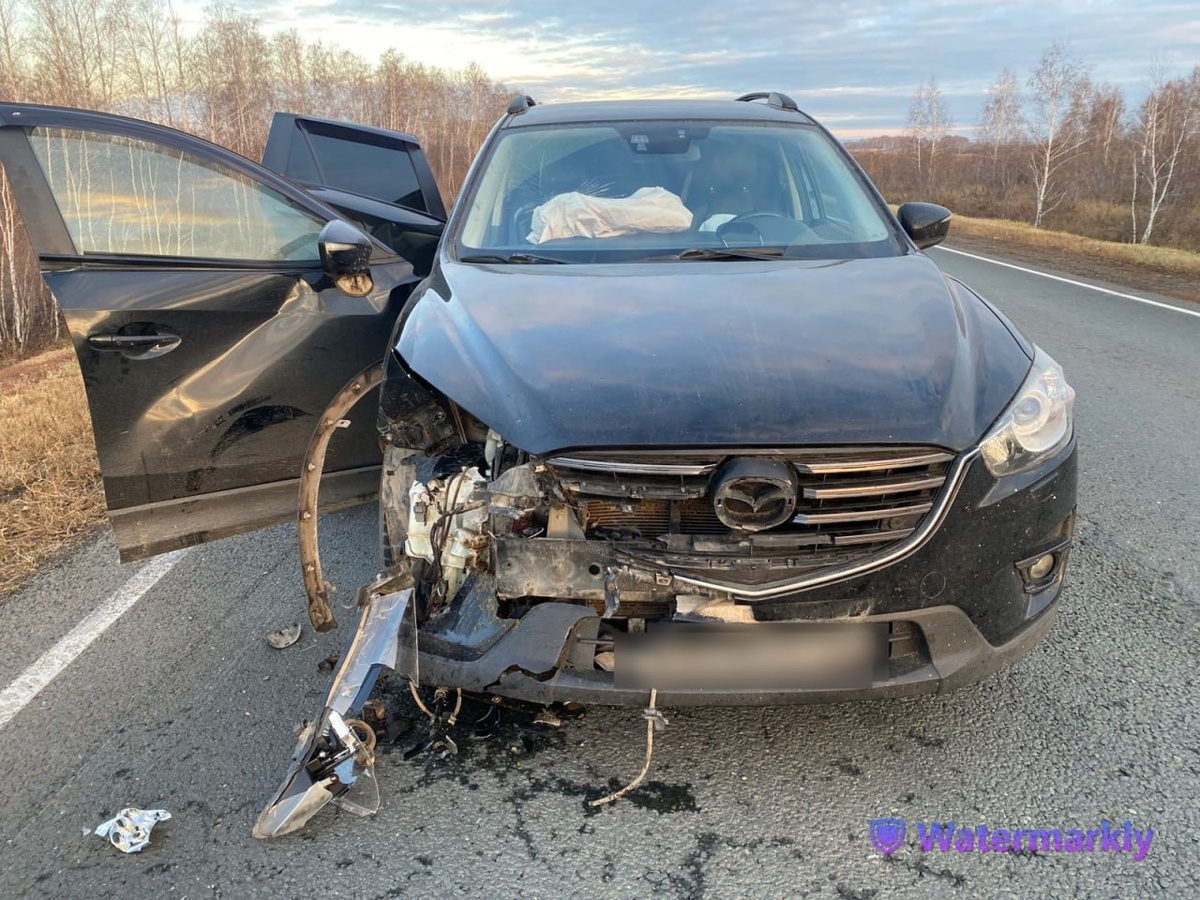  📷    Сбили косулю и сами попали под колеса. Под Шарлыком в двойном ДТП пострадали 2 человека Белов Михаил Александрович