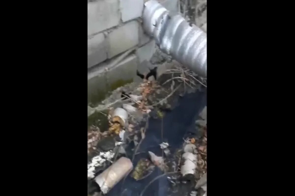    В Златоусте подвалы домов топит ядовитая красная жижа