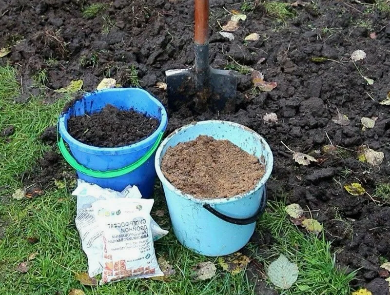 Осенняя подкормка