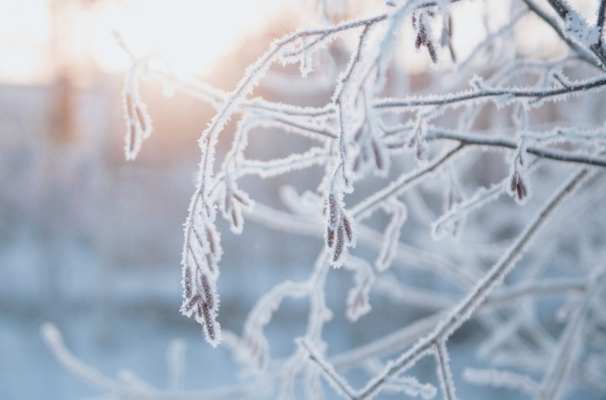    Фото: "Республика" / Лилия Кончакова