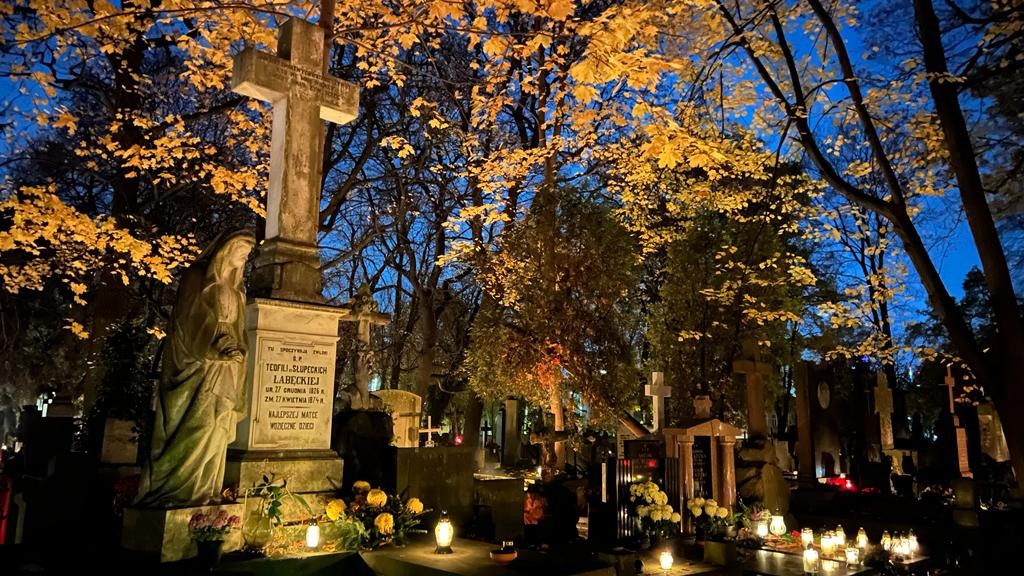 фотография из открытых источников