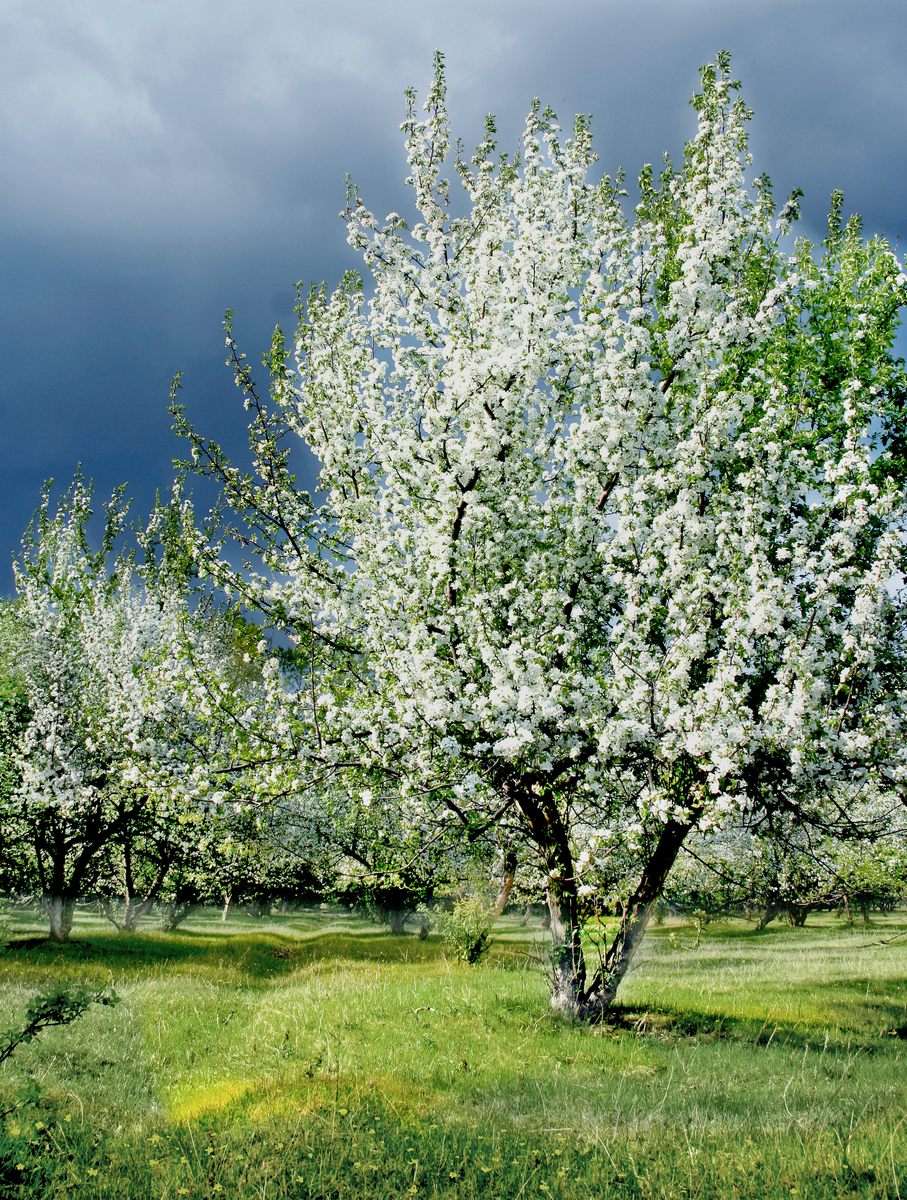 Фотография, стихотворение Василия Глуцкого