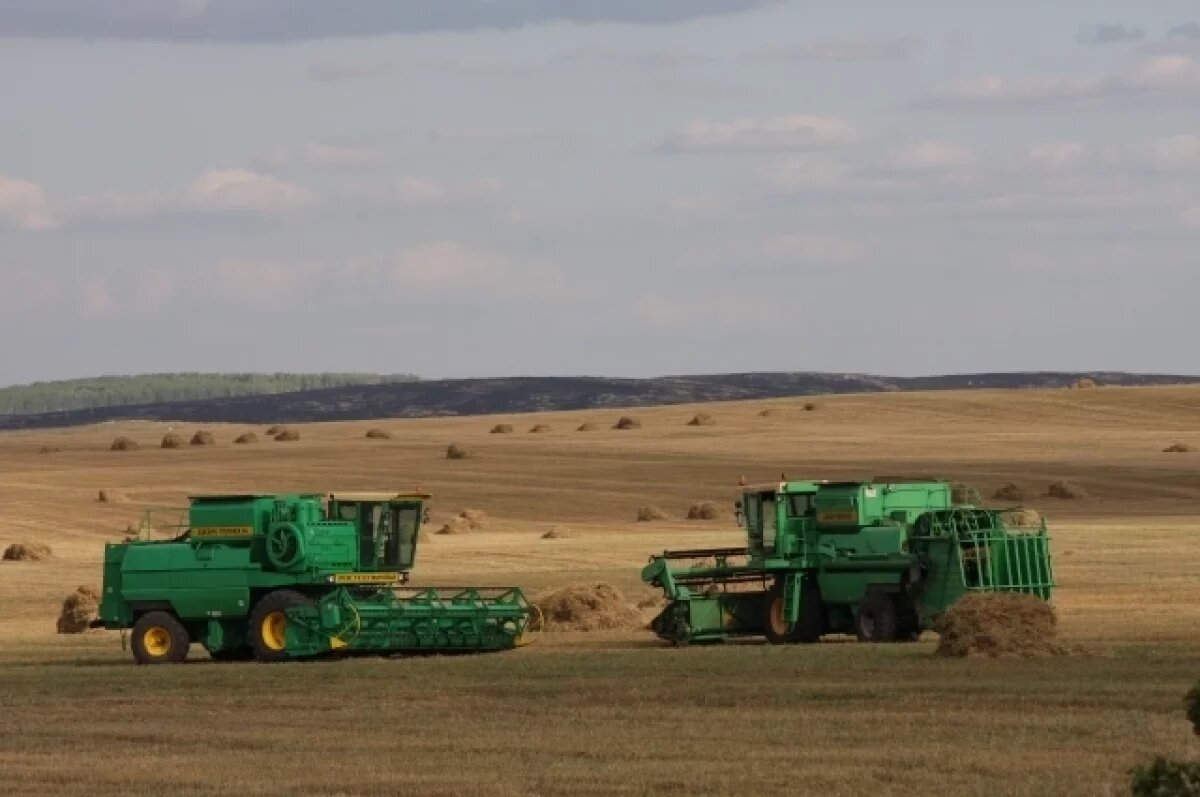    Не только о подготовке к зиме.