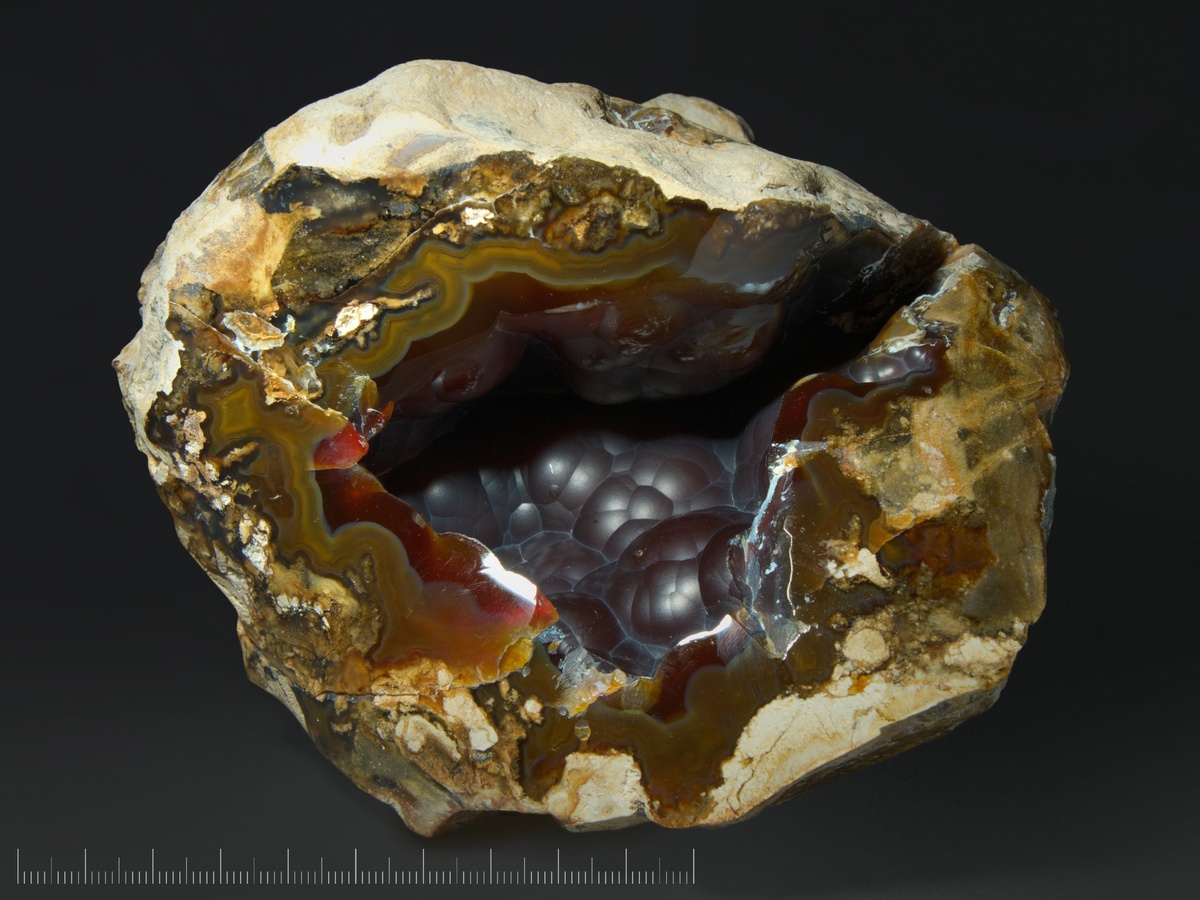 Почки темного халцедона в агатовом обрамлении. На среде видно, насколько сложное строение имеет каждая почка. Московская область, Ступинский район