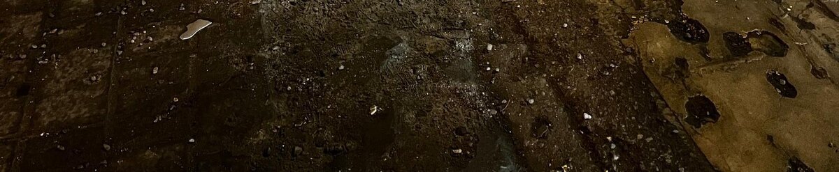    Фото: Анна Григор