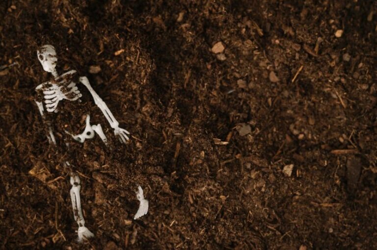    Фото: freepik.com/free-photo Анфиса Слепцова