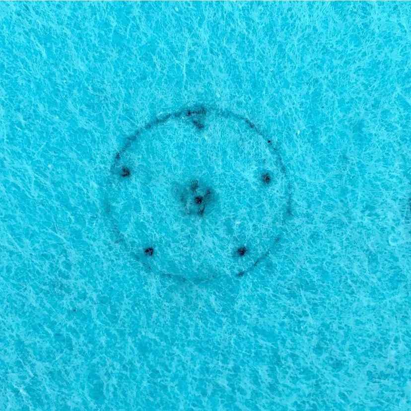 Точки на окружности.