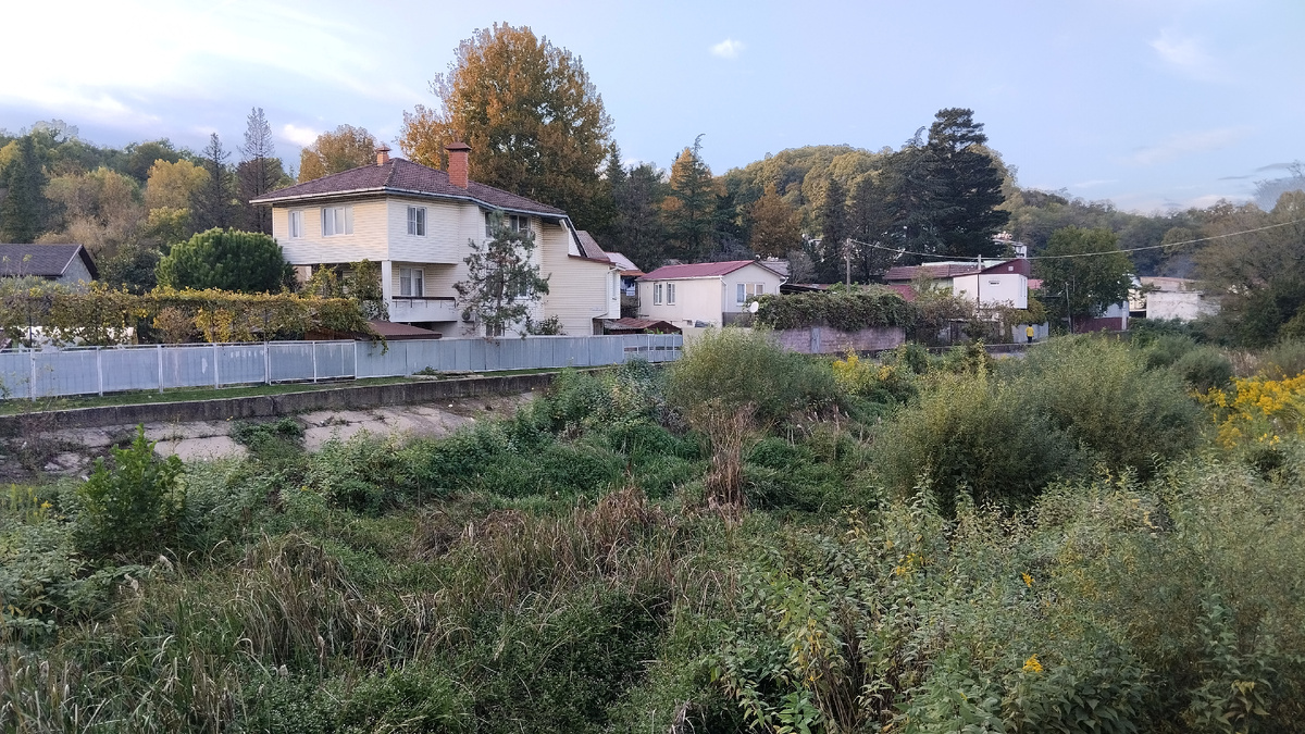 Р. Малая Херота. Да, заросла кустарниками. Набережная нуждается в уходе и заботе


