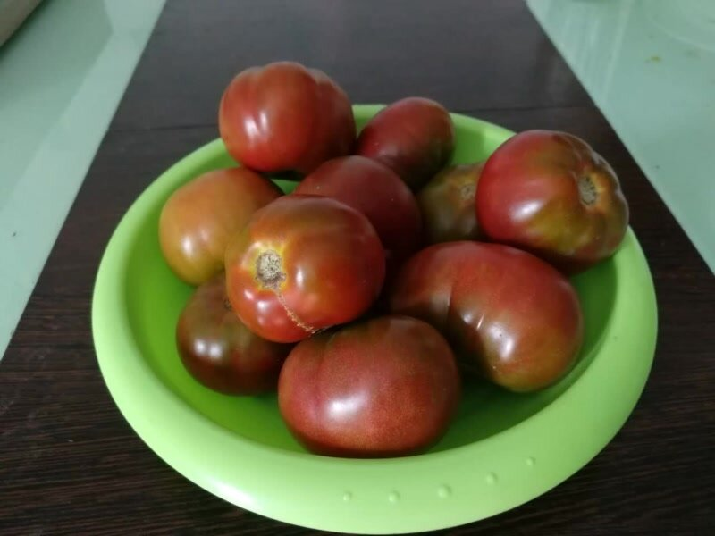 Шоколадные - это когда темно-зеленые плечики начинают краснеть и получается коричневый оттенок, фото автора