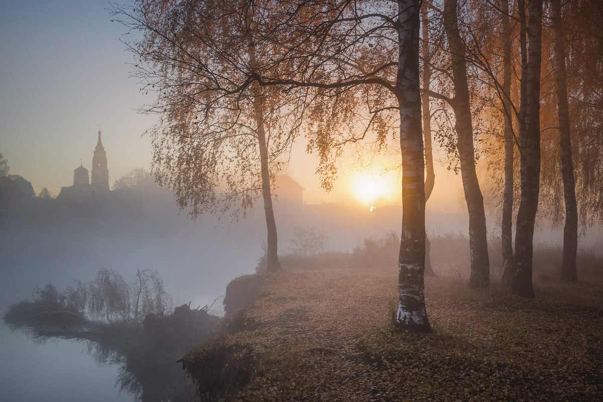 Яндекс Картинки.