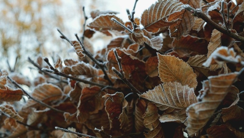 Фото: @EyeEm / freepik.com