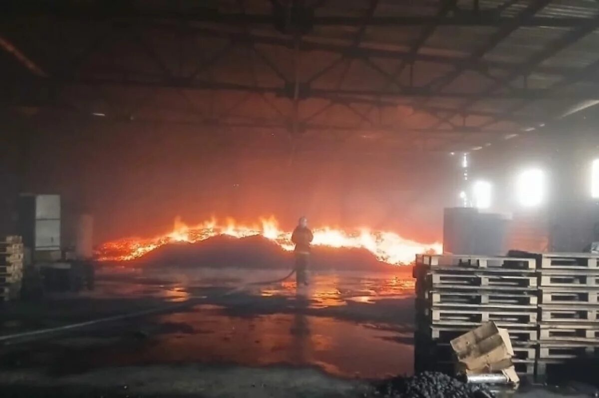    На Алтае произошел пожар на складе древесного угля