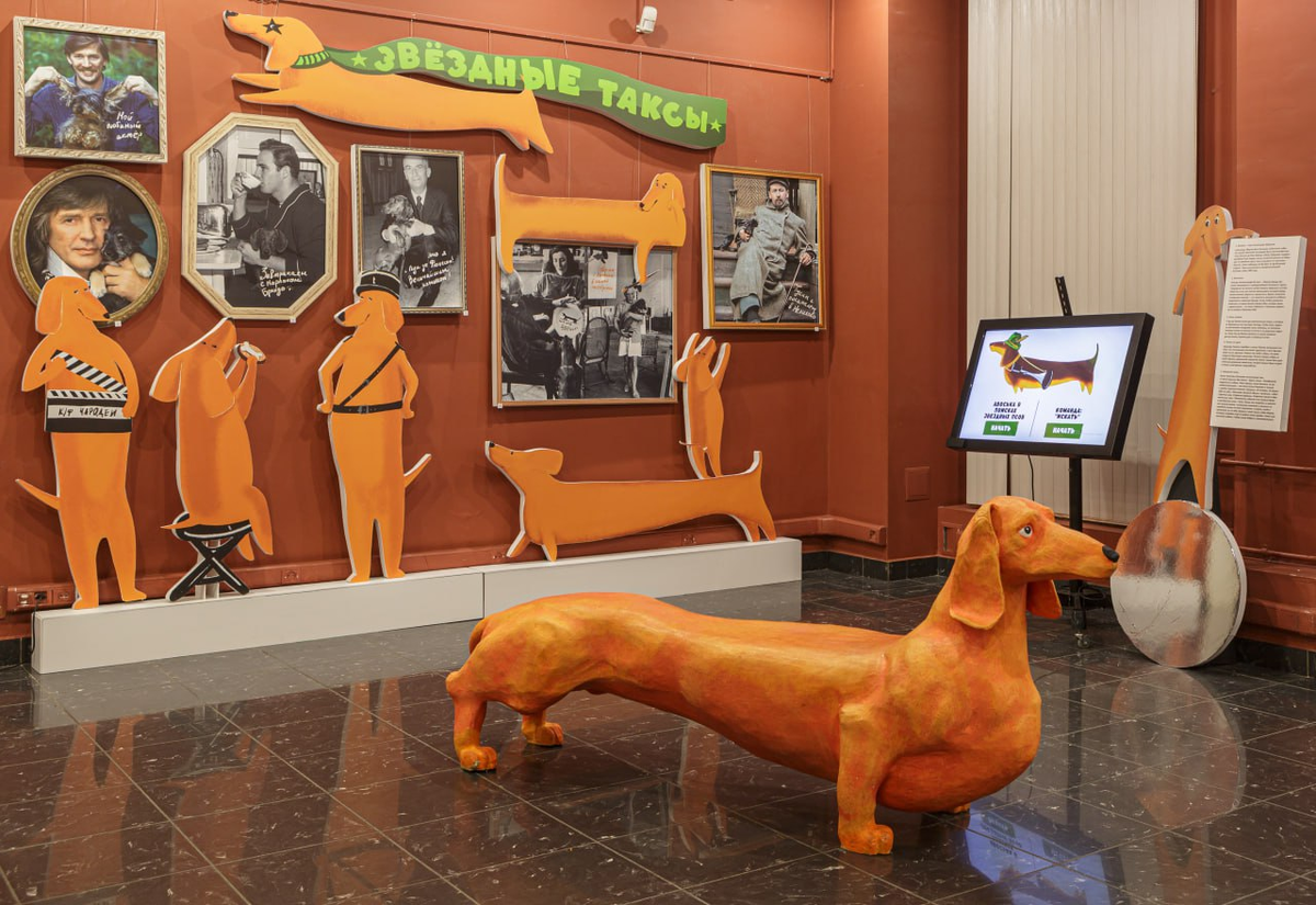 Выставка "Барсучий воин" в Дарвиновском музее. 