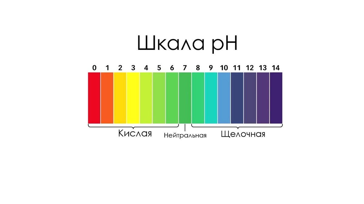 Вот она самая, шкала