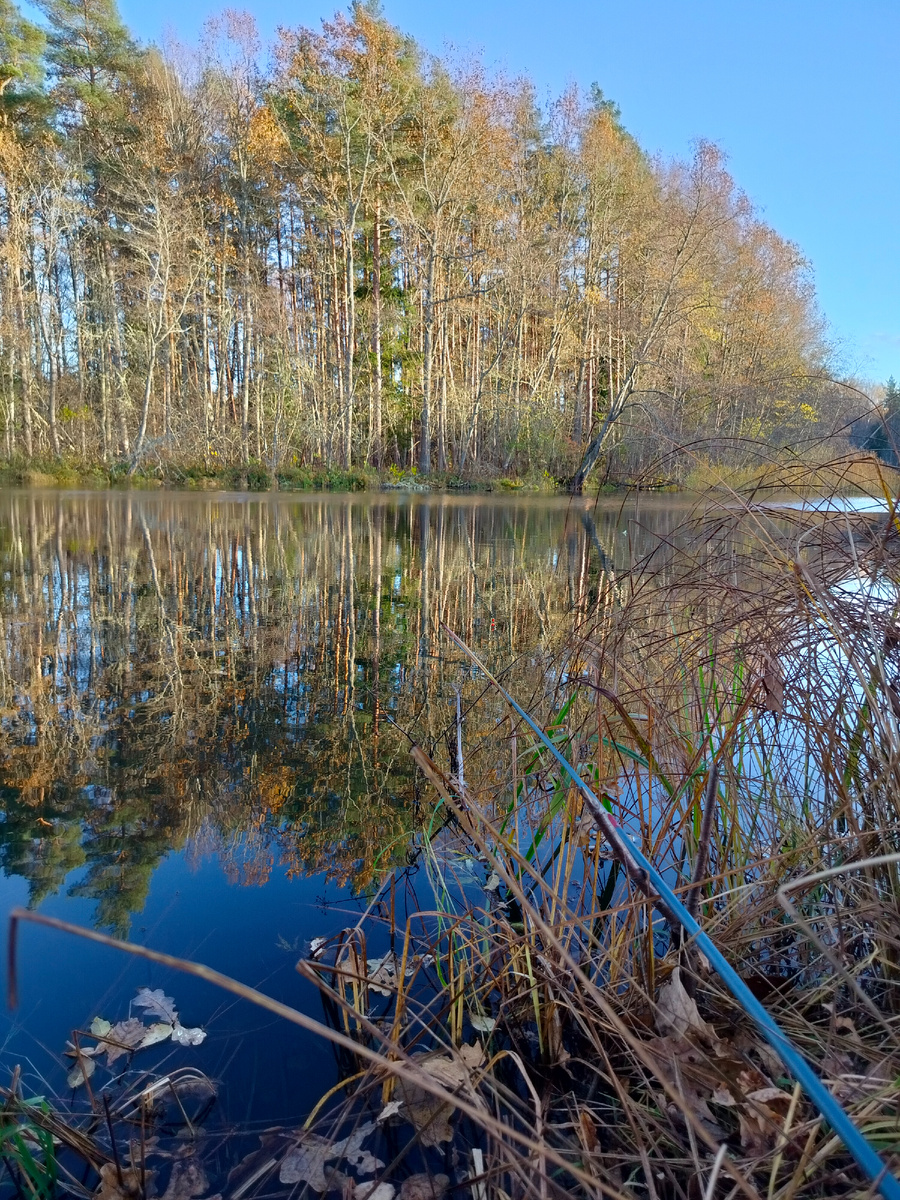 28.10.24 на реке Великой