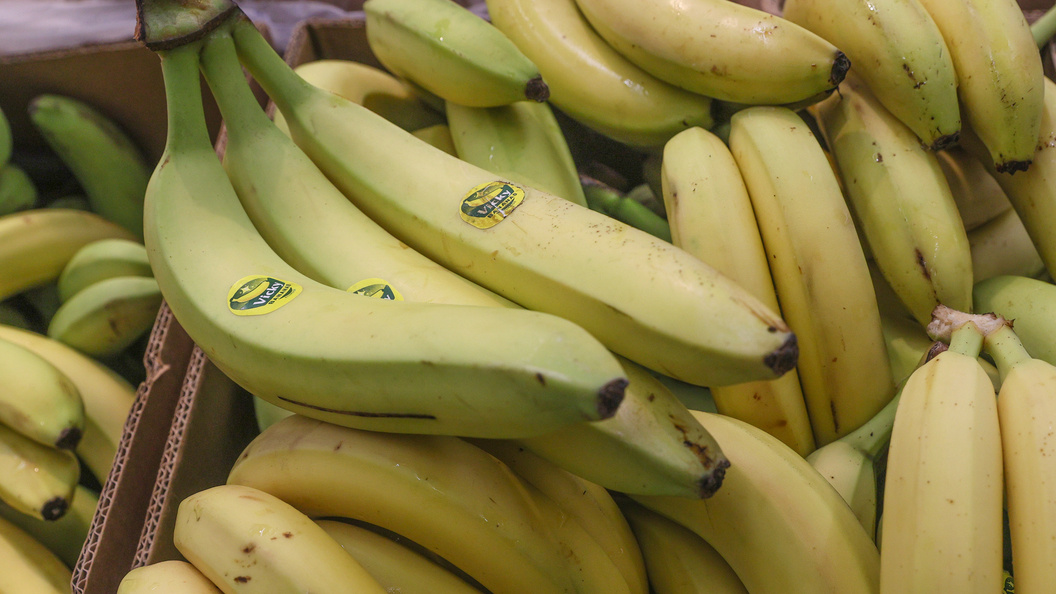    Фото: Bulkin Sergey/news.ru