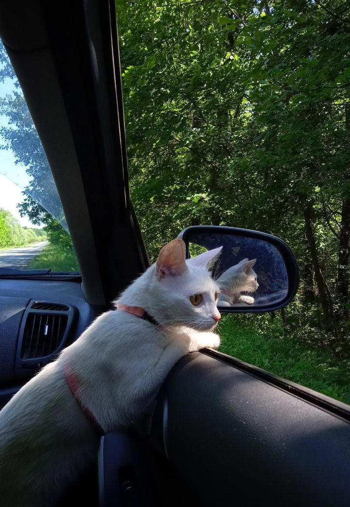 Одна из первых поездок 