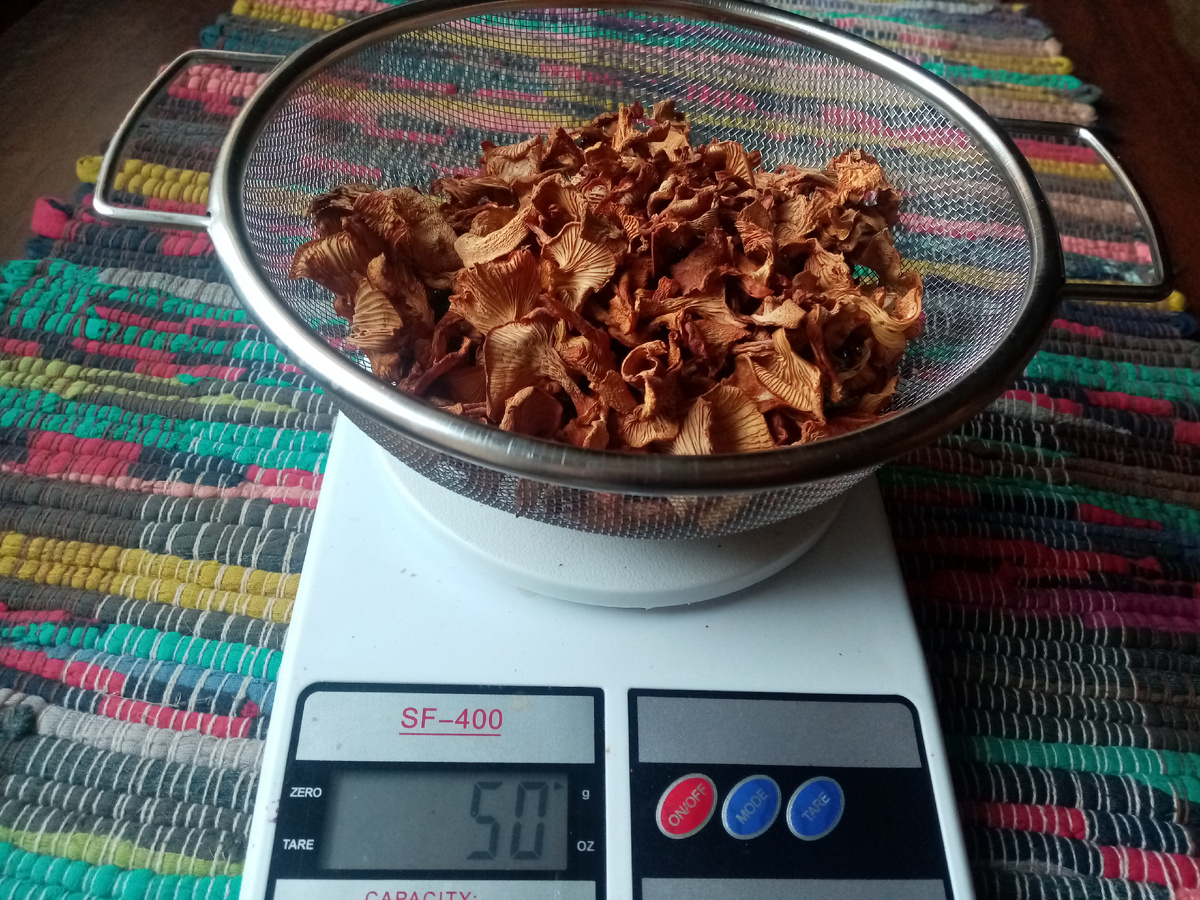 Сухие лисички, фото автора